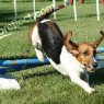 Libby Jumping